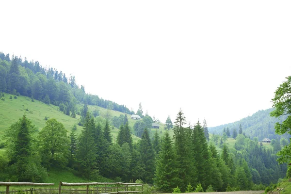 Straße im Bergwald — Stockfoto