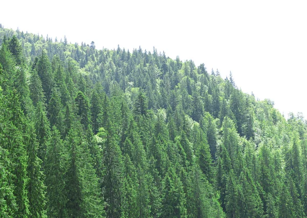 Prachtig berglandschap — Stockfoto