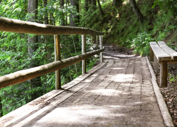 Ponte de madeira na floresta — Fotografia de Stock