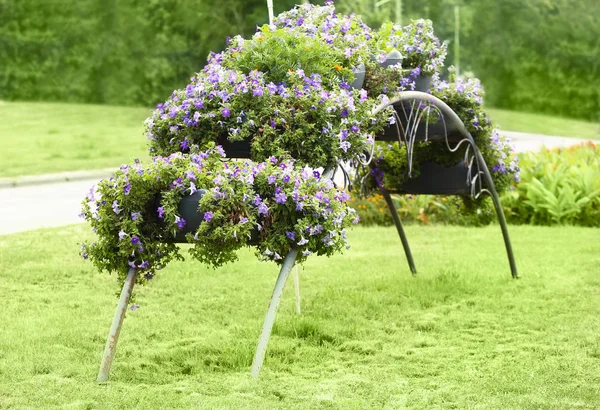 Bågen görs av blomsterrabatter — Stockfoto