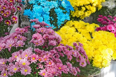 Ekranda taze çiçekler