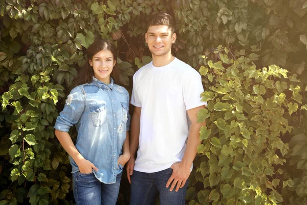 Young couple on green leaves background — Stock Photo, Image