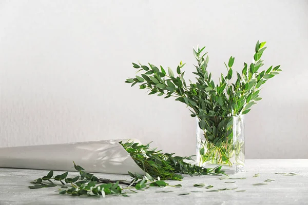 Green eucalyptus branche — 图库照片