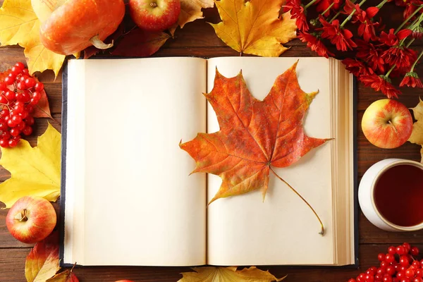 Opened book with autumn leaves — Stock Photo, Image