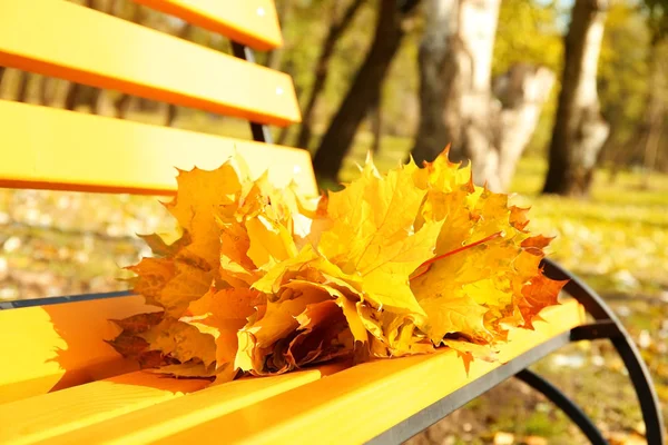 Sarı akçaağaç yaprakları — Stok fotoğraf