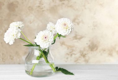 Vazoda Çiçekler güzel beyaz dahlia