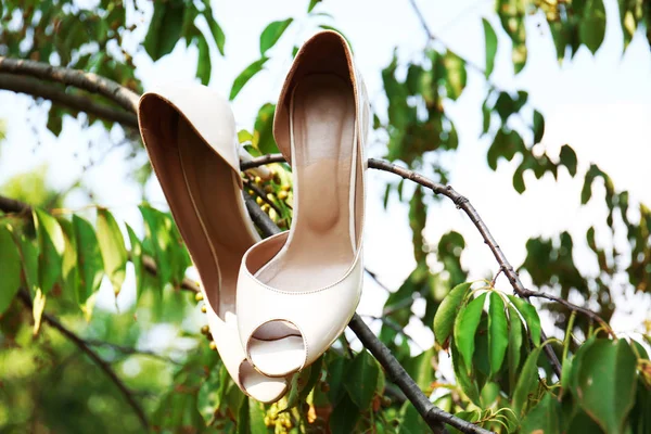树上的新娘鞋 — 图库照片