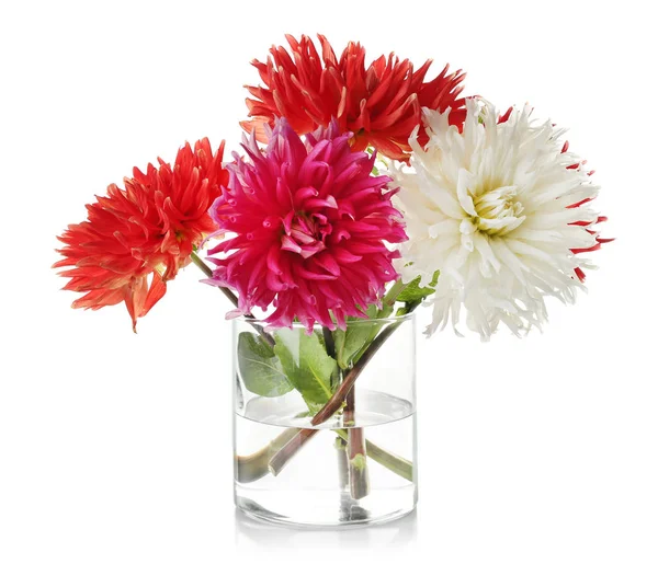 Beautiful dahlia flowers in vase — Stock Photo, Image