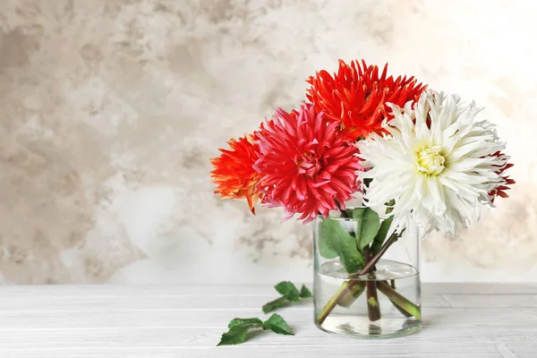 Beautiful dahlia flowers in vase — Stock Photo, Image