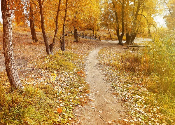 Narrow path in autumn park — Stock Photo, Image