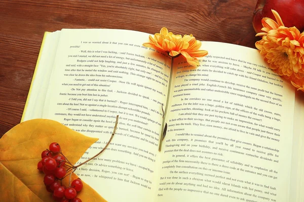 Composizione autunnale con libro — Foto Stock