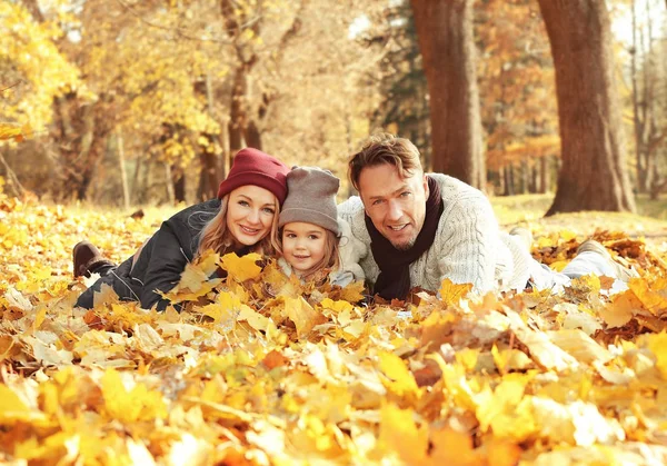 Ευτυχισμένη Οικογένεια Στηρίζεται Όμορφο Φθινοπωρινό Πάρκο — Φωτογραφία Αρχείου
