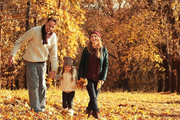 Szczęśliwa Rodzina Spacery Piękny Jesienny Park — Zdjęcie stockowe