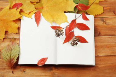 Kitap ile sonbahar kompozisyon 