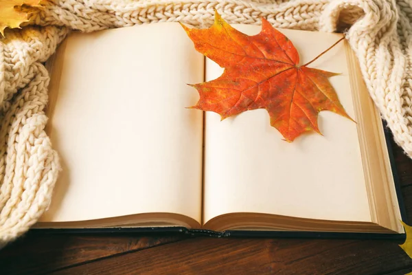 已打开的书，与秋天的落叶 — 图库照片