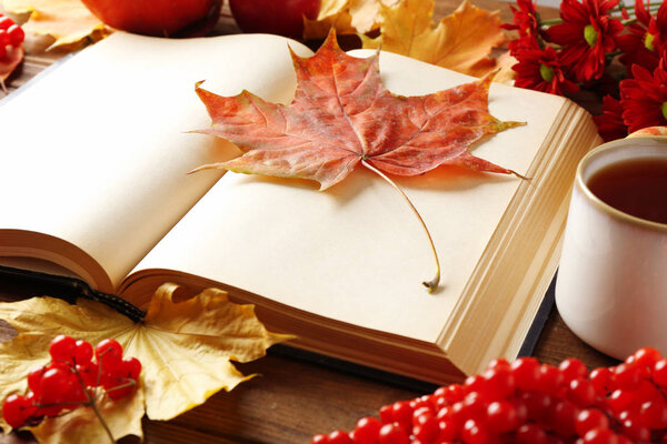Opened book with autumn leaves