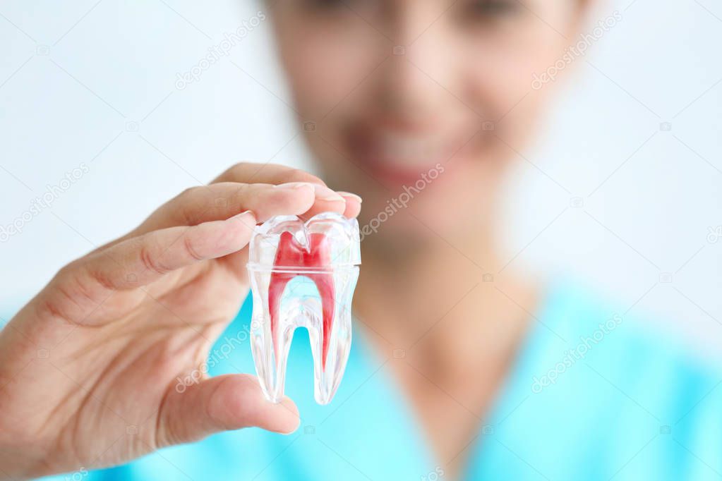 young female dentist 