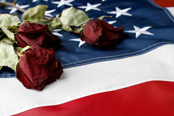 Dried roses on American national flag