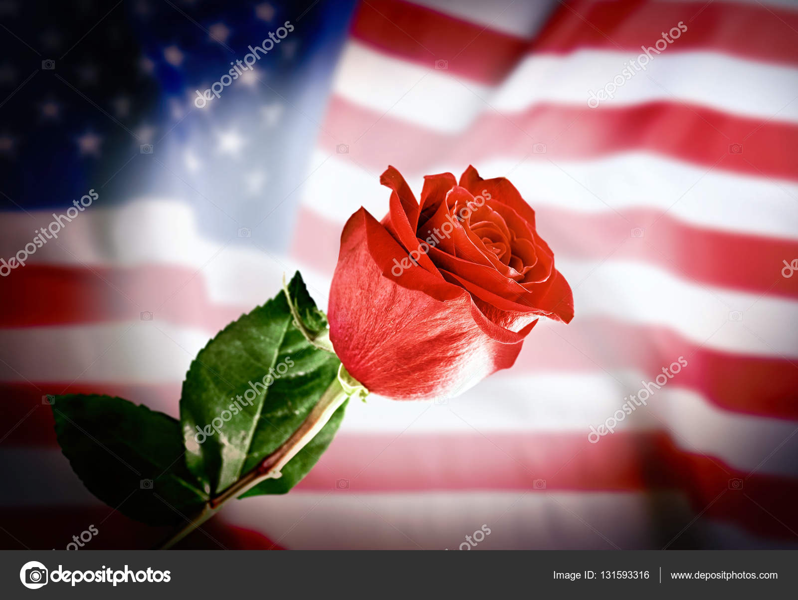 Rose on USA flag background Stock Photo by ©belchonock 131593316