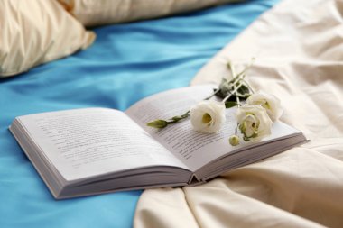 Açık kitap ve güzel çiçekler