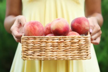 Sepeti taze şeftali dolu tutan kadın