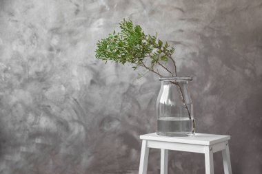 Gri arka plan üzerinde cam vazoda yapraklarla yeşil şube