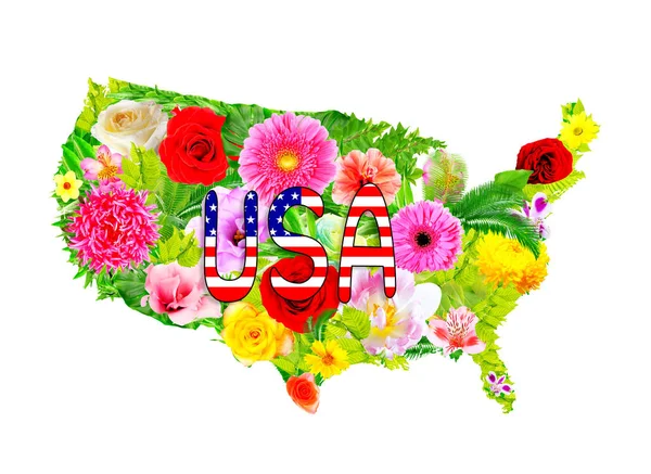 Diseño floral de Estados Unidos mapa — Foto de Stock