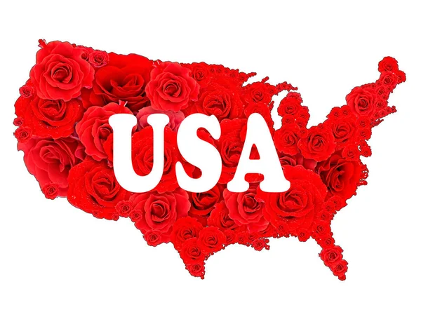 Цветочный дизайн карты США — стоковое фото