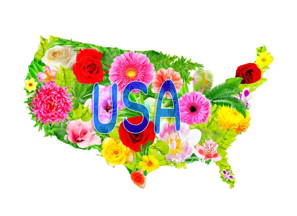 Цветочный дизайн карты США — стоковое фото