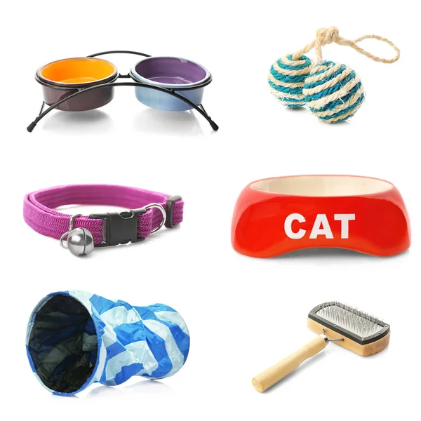 Различные аксессуары для кошек — стоковое фото