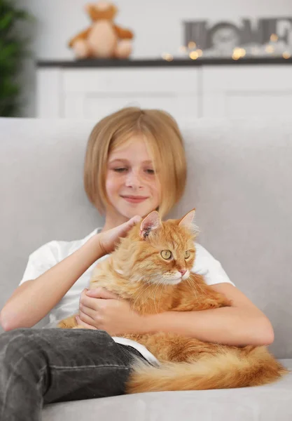 Menina com vermelho fofo gato — Fotografia de Stock