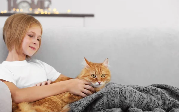 Chica con rojo esponjoso gato — Foto de Stock