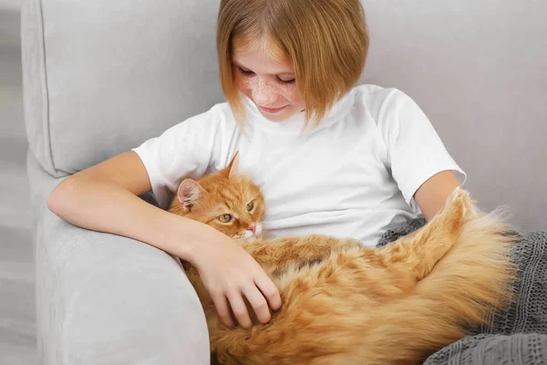 Meisje met rode pluizig kat — Stockfoto