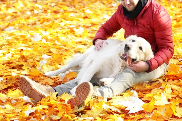 Grappige Labrador Retriever Met Eigenaar Mooie Herfst Park Zonnige Dag — Stockfoto