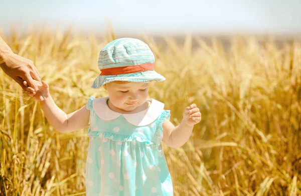 Sød baby pige i sommer eng - Stock-foto