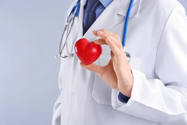 Male doctor holding red heart on light background — Stock Photo, Image