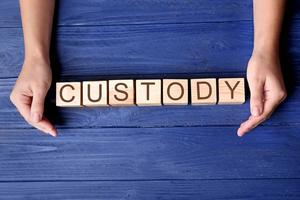 Manos y cubos femeninos con palabra CUSTODY —  Fotos de Stock