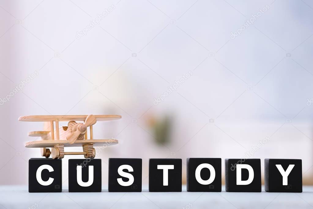 Cubes with word CUSTODY and toy plane on blurred background