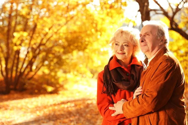 Härlig äldre par — Stockfoto