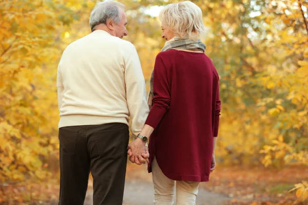 Härlig äldre par — Stockfoto