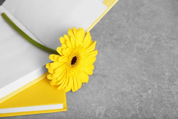 Libros amarillos y flor gerbera sobre fondo gris —  Fotos de Stock