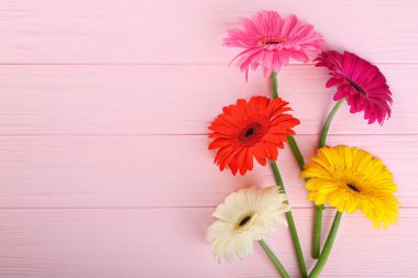 Gerbera çiçekleri pembe ahşap zemin üzerine