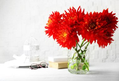 Vazoda Çiçekler güzel kırmızı dahlia