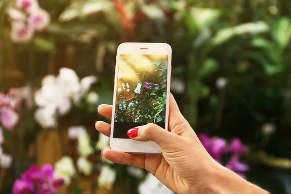 Mano femenina tomando fotos de hermosas flores con teléfono inteligente en la tienda de flores —  Fotos de Stock