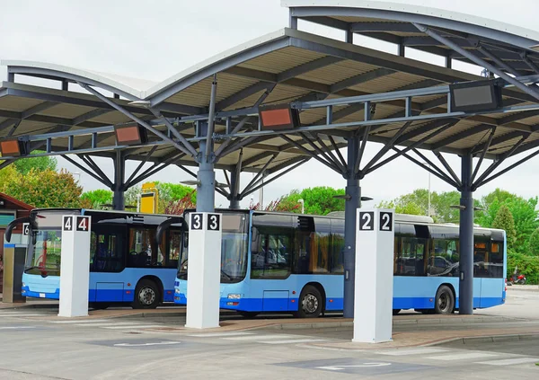 Автовокзал з синіми автобусами — стокове фото