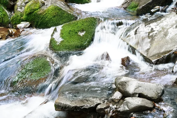 Beautiful waterfall in the Carpathian mountains — Stock Photo, Image