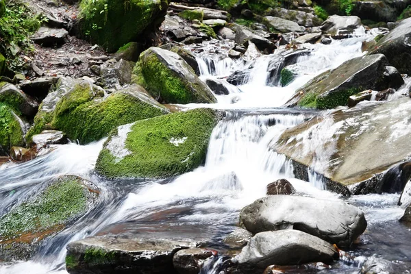 Beautiful waterfall in the Carpathian mountains — Stock Photo, Image