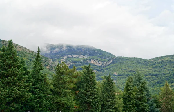 Vista sobre hermoso paisaje de montaña brumoso —  Fotos de Stock