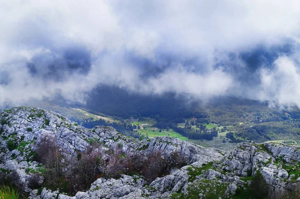 Krásné mlhavá horská krajina — Stock fotografie