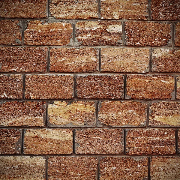 Brick wall texture — Stock Photo, Image